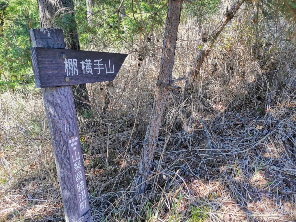 棚横手山 道標