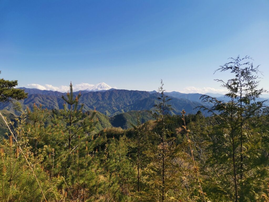 富士山