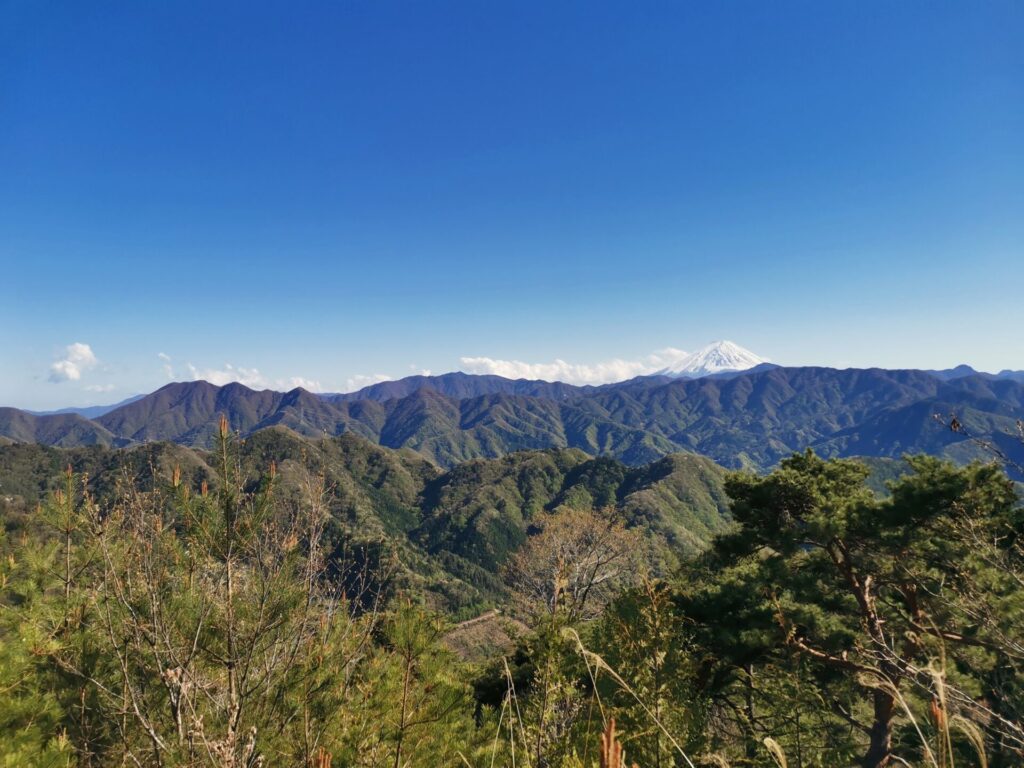富士山