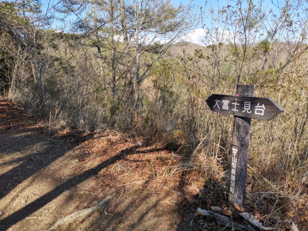 大富士見台