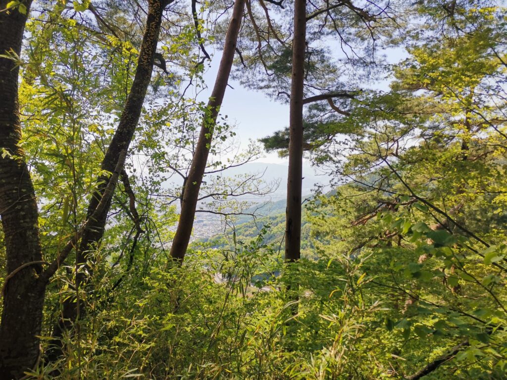 要害山 甲府市街
