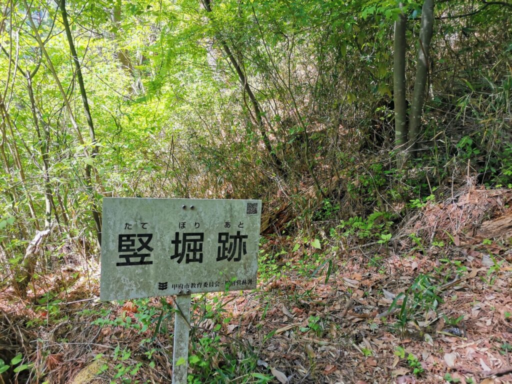 要害山 竪堀跡