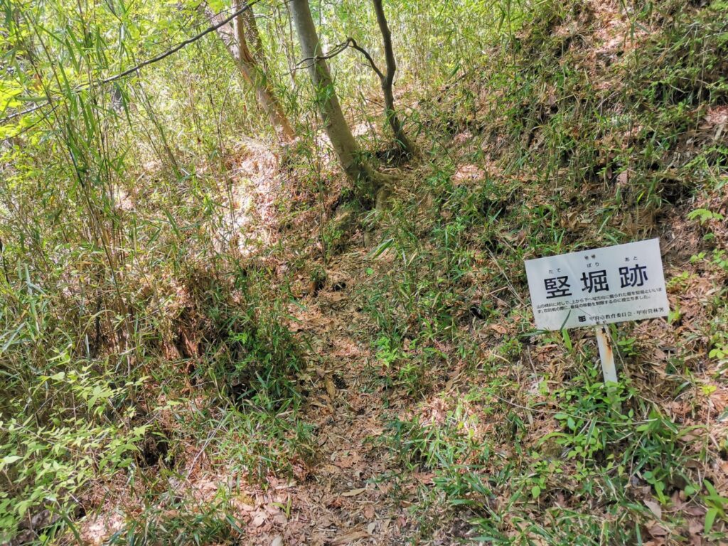 要害山 竪堀跡