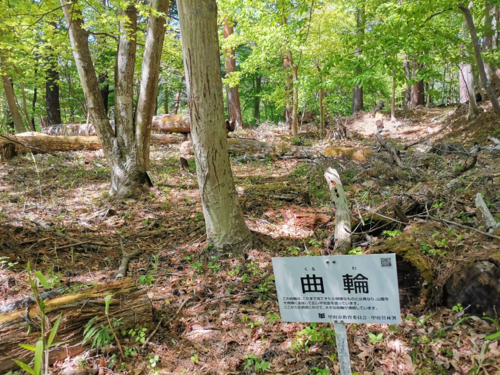 要害山 曲輪