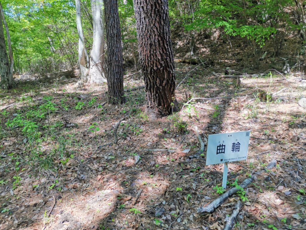 要害山 曲輪