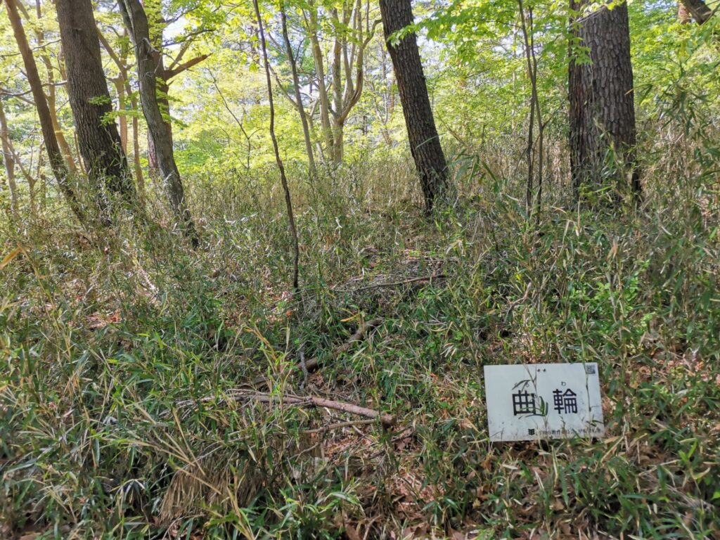 要害山 曲輪
