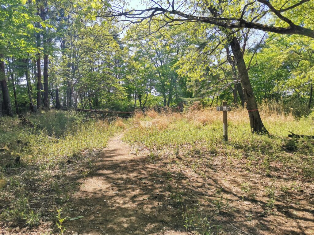 要害山城 主郭部
