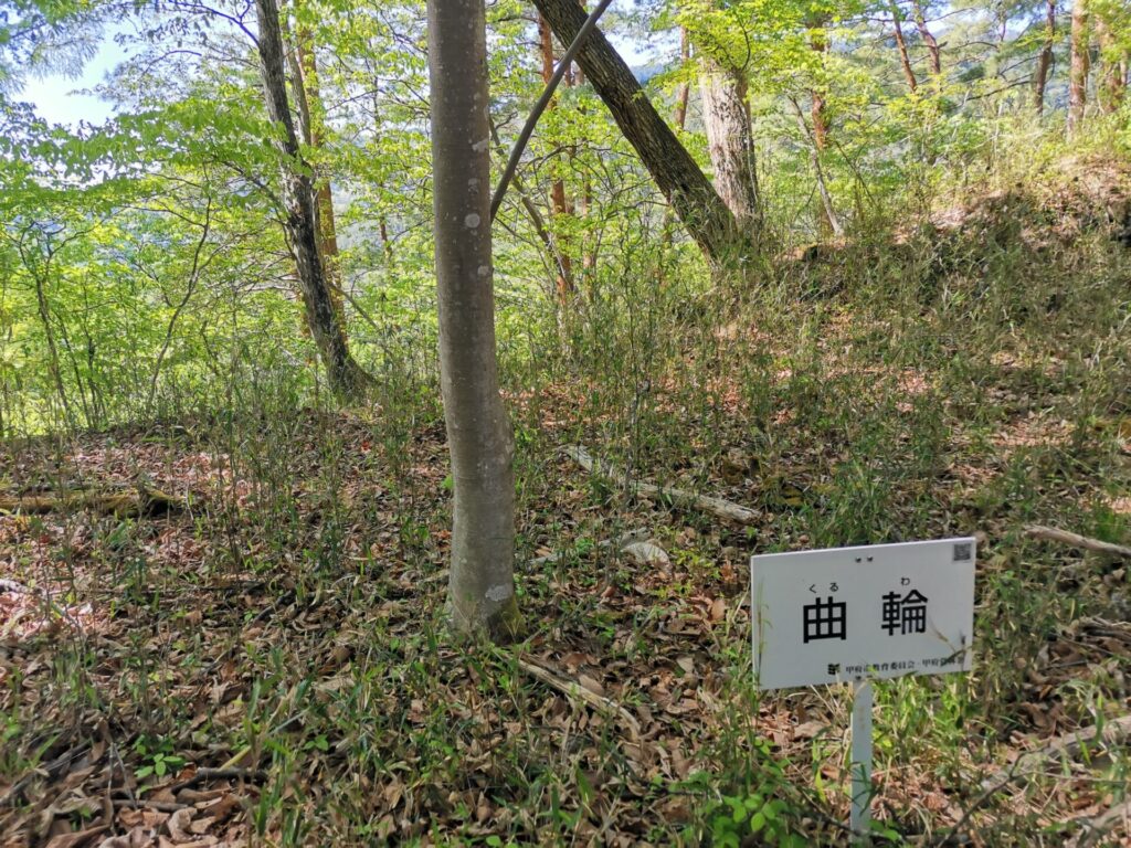 要害山 曲輪