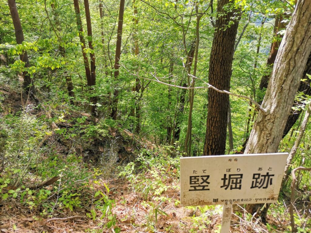 要害山 竪堀跡