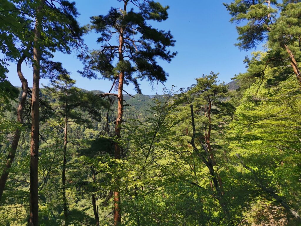 青空 山