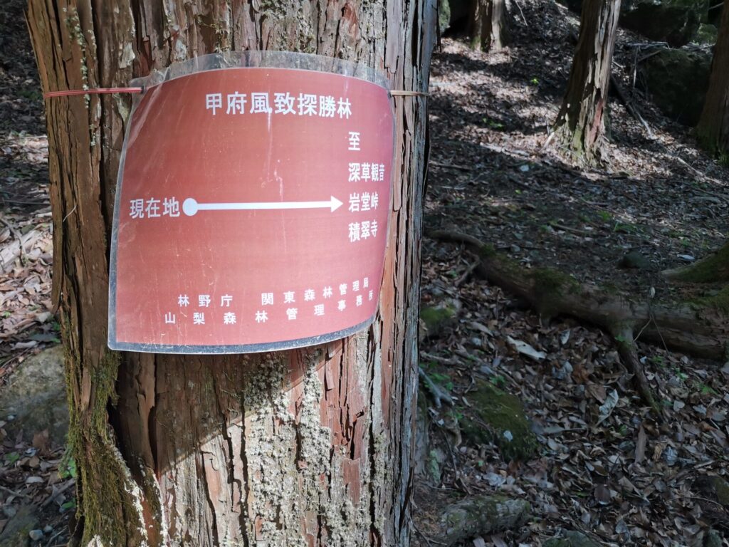 要害山 目的地 掲示