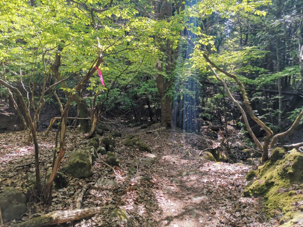 要害山 登山道