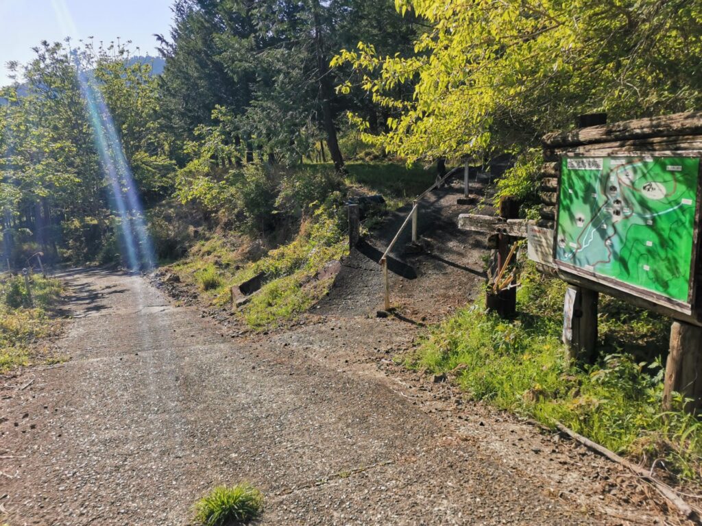登山道 分岐