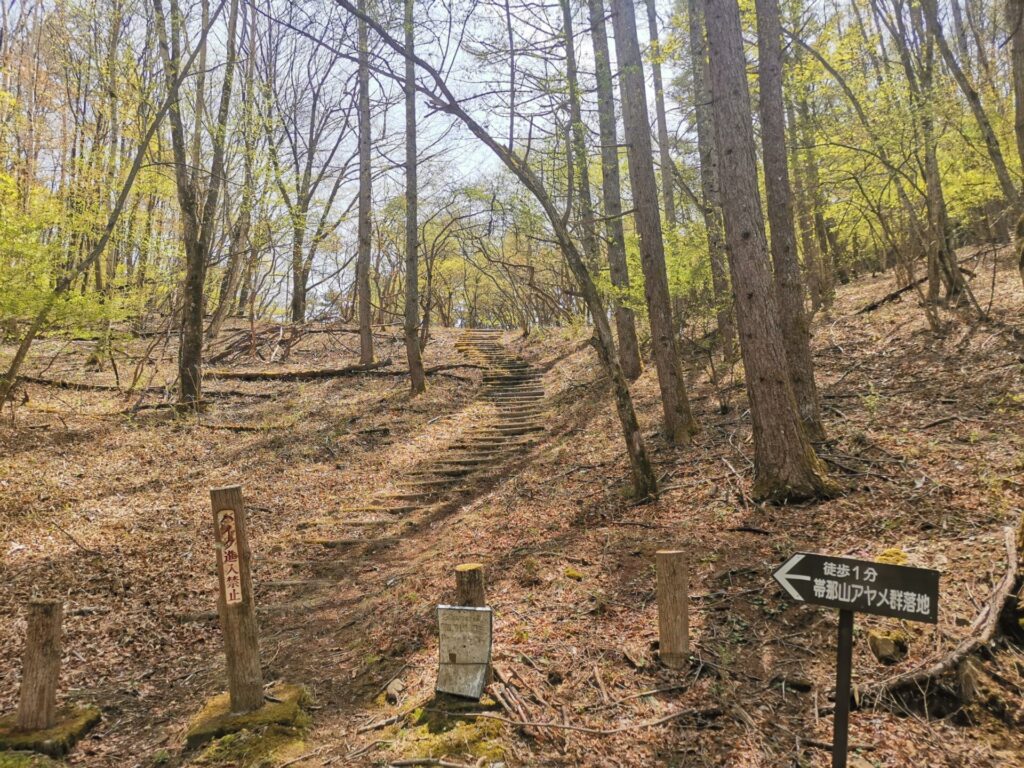 帯那山 アヤメ群落地 入口 道標