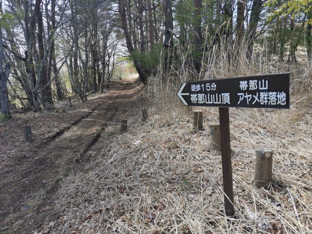 帯那山 山頂 道標