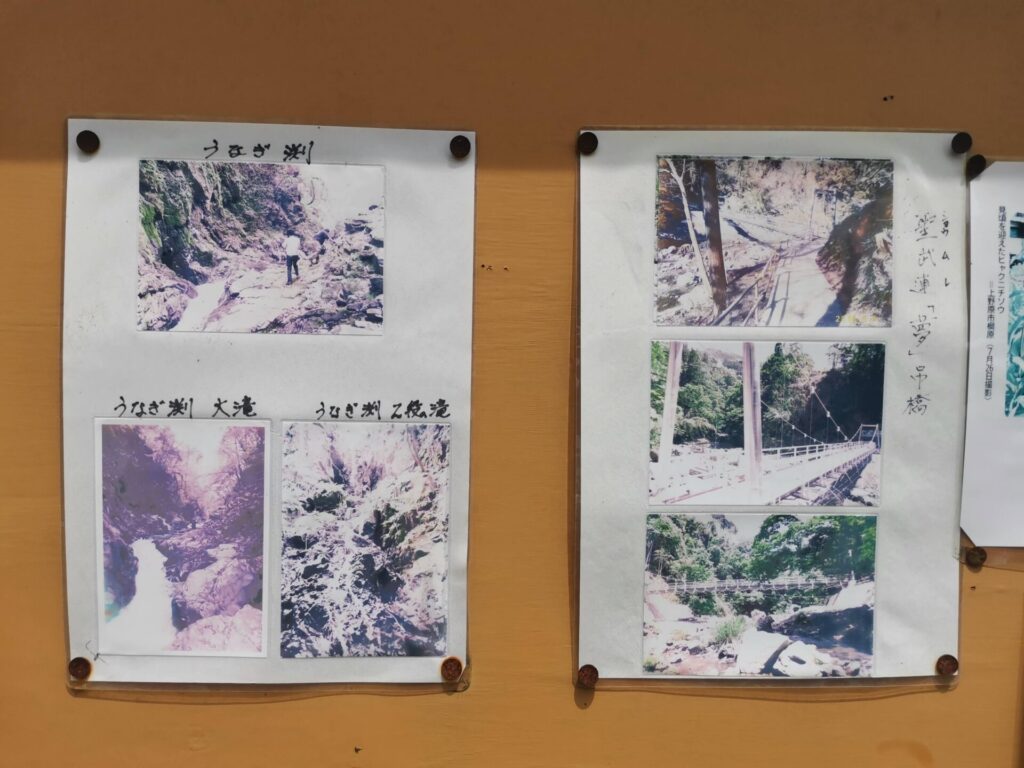 聖武連 夢 吊橋