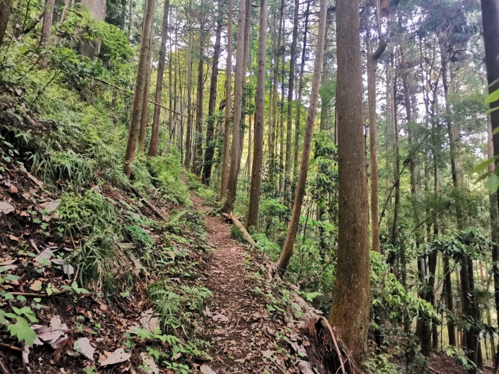 登山道