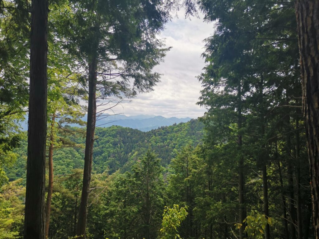 道志山塊
