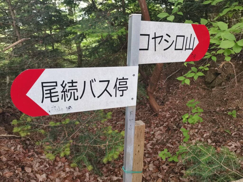 コヤシロ山 道標