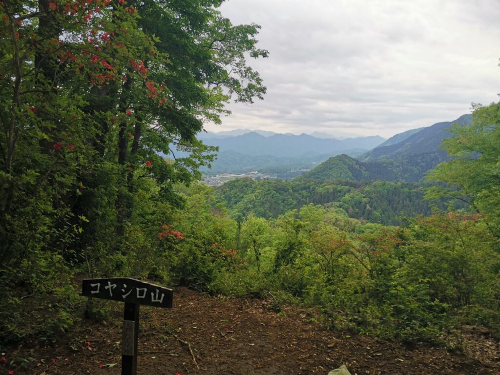 コヤシロ山