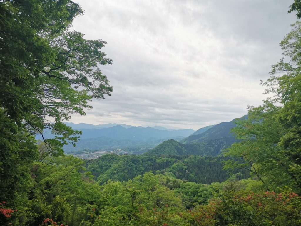 コヤシロ山