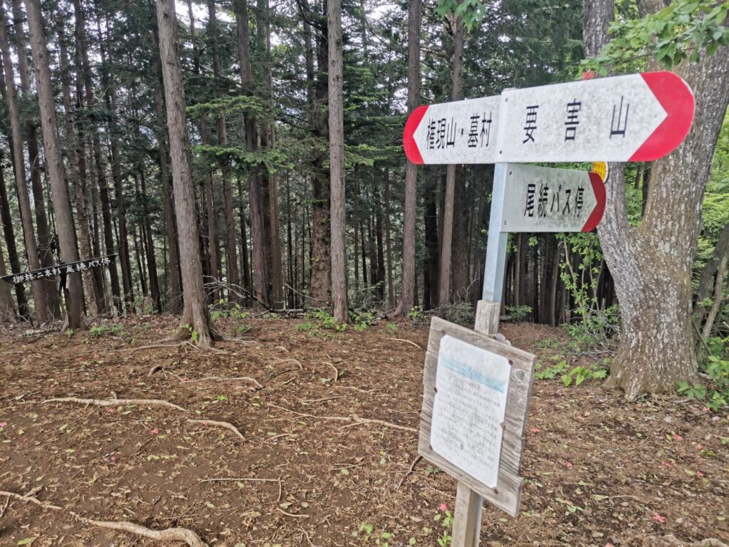 権現山 墓村 道標