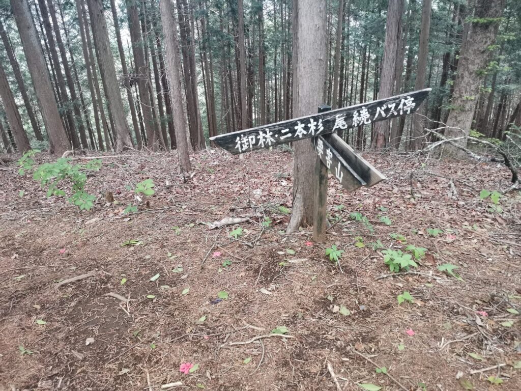 御林 二本杉 道標
