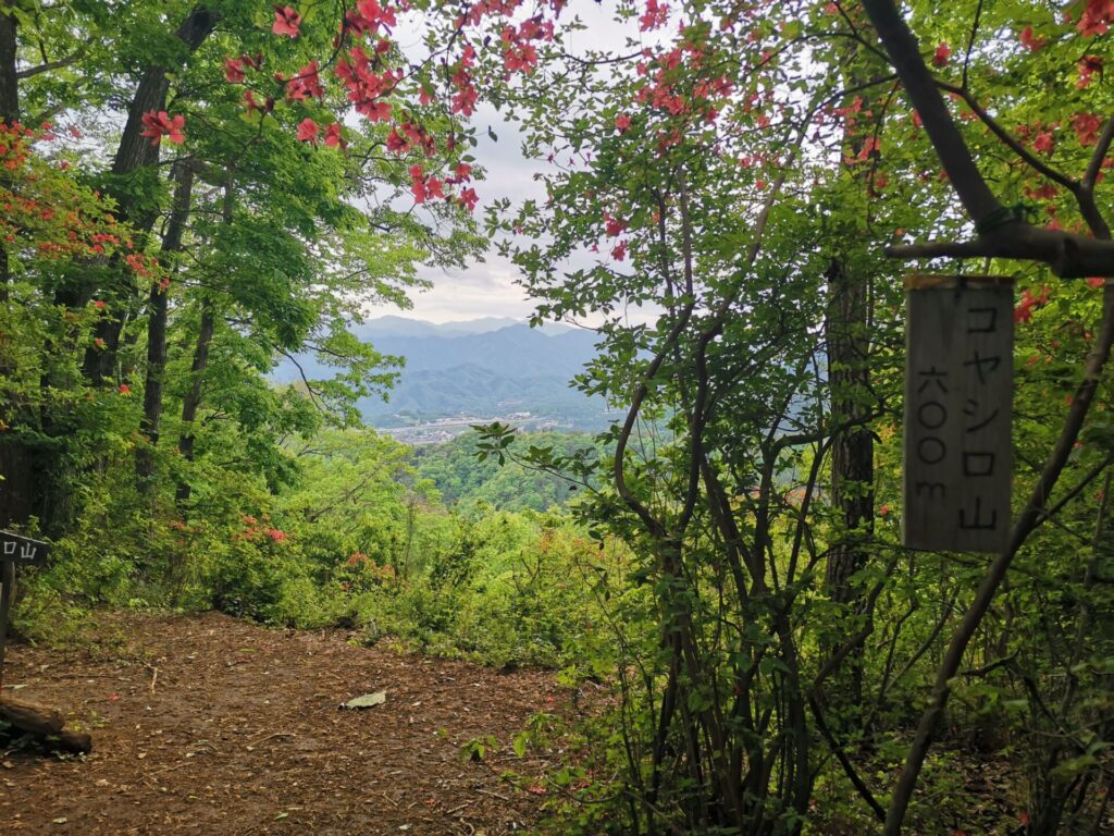 コヤシロ山