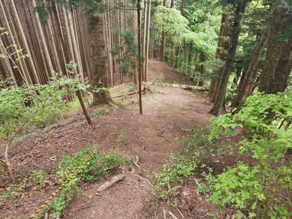 登山道