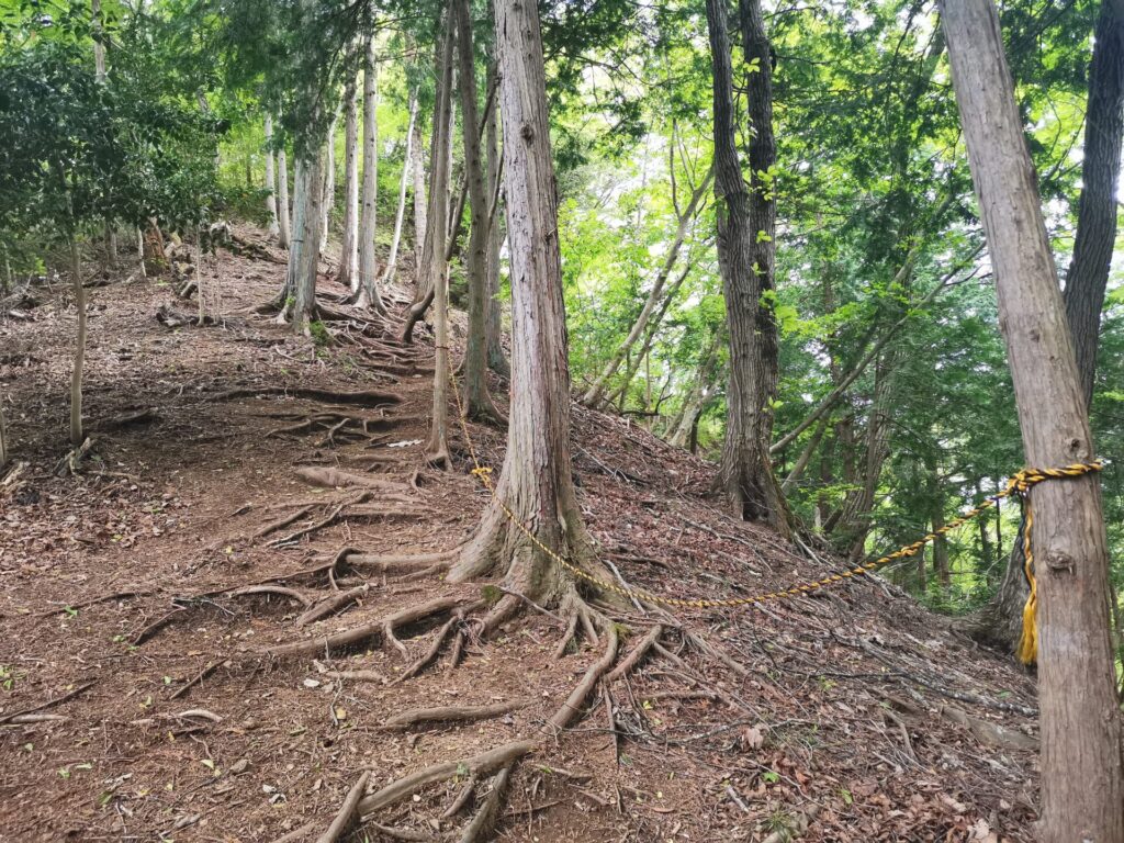 登山道