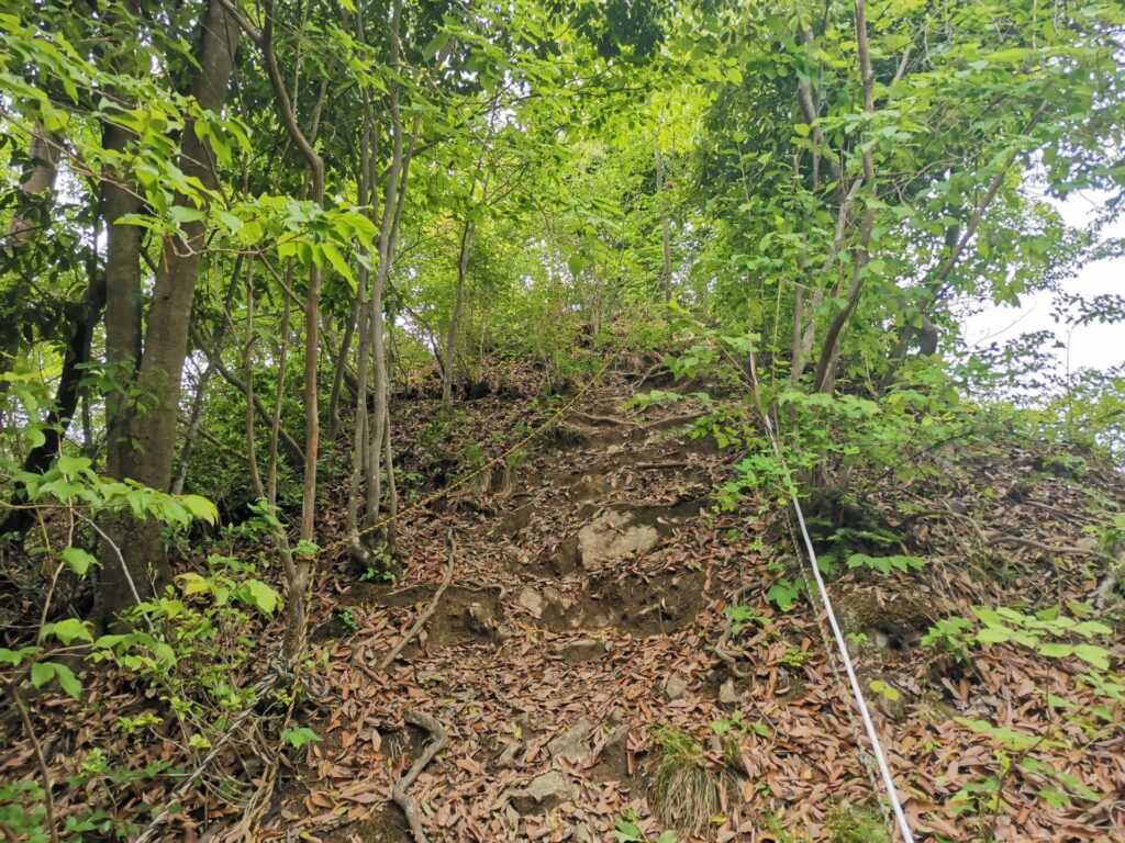 登山道