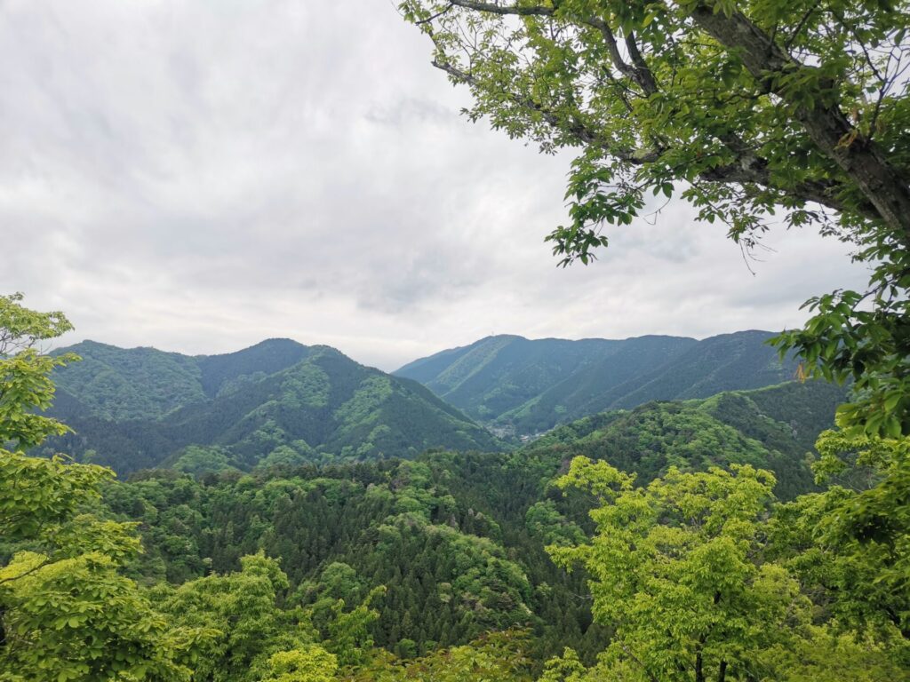 権現山