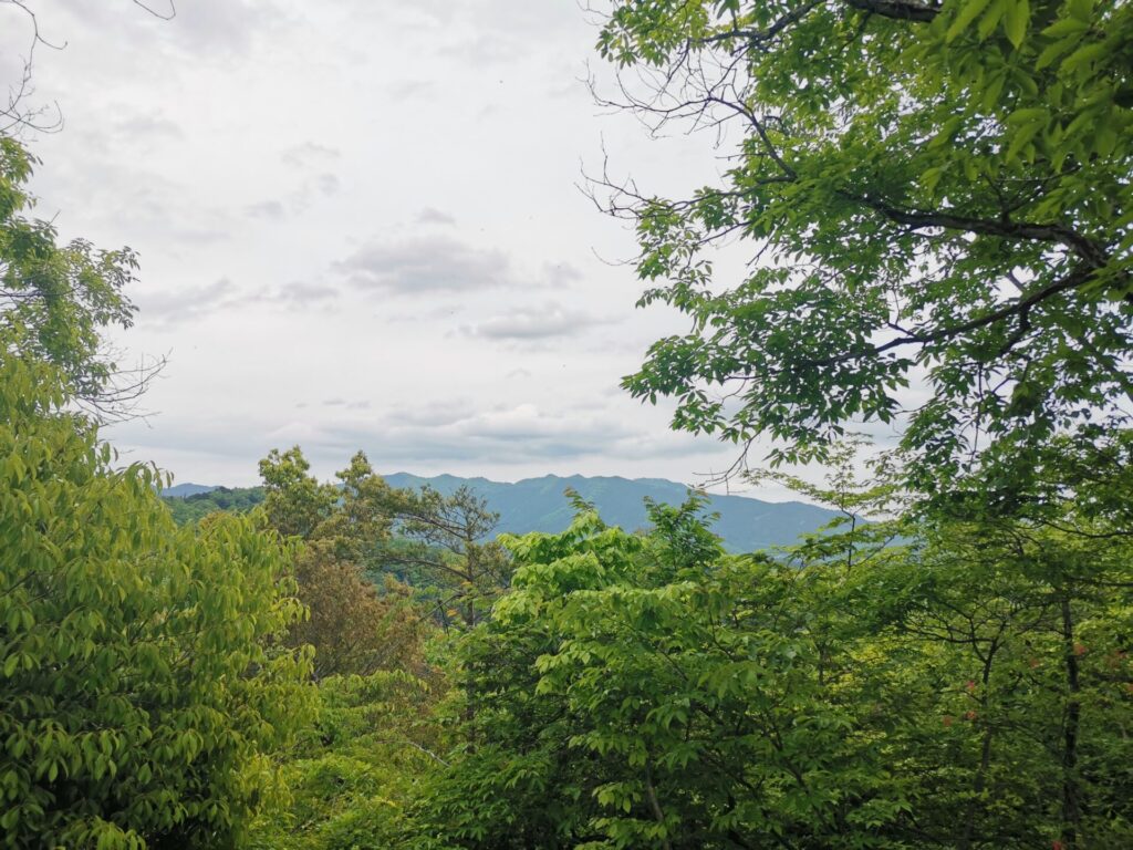 生藤山