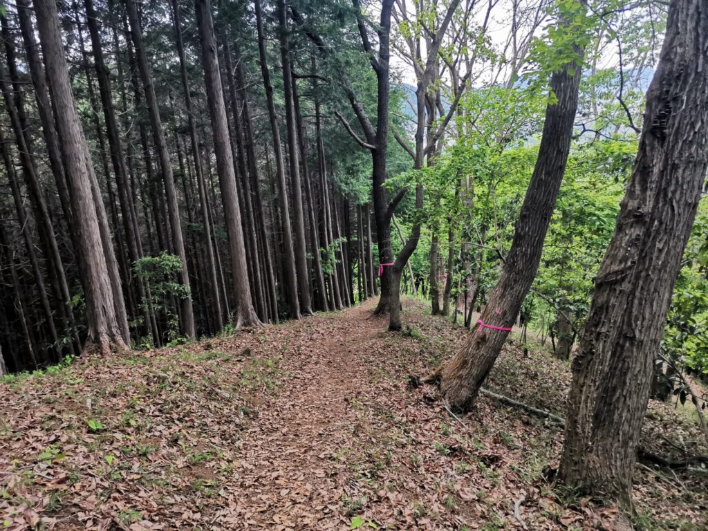 登山道