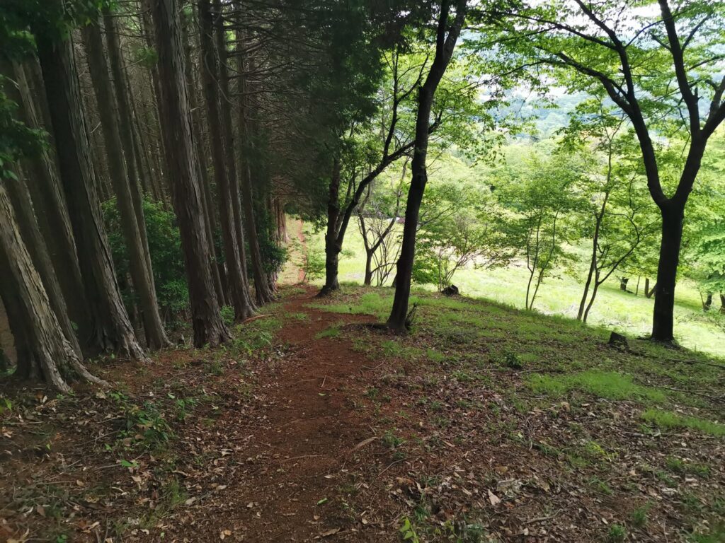 登山道