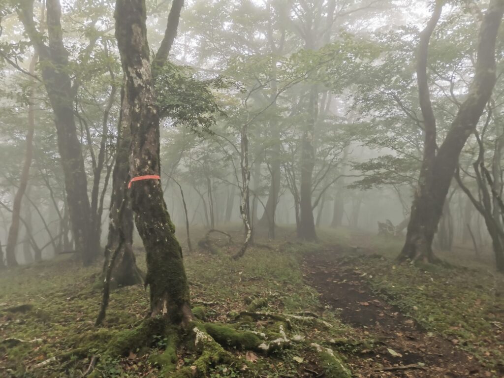 登山道
