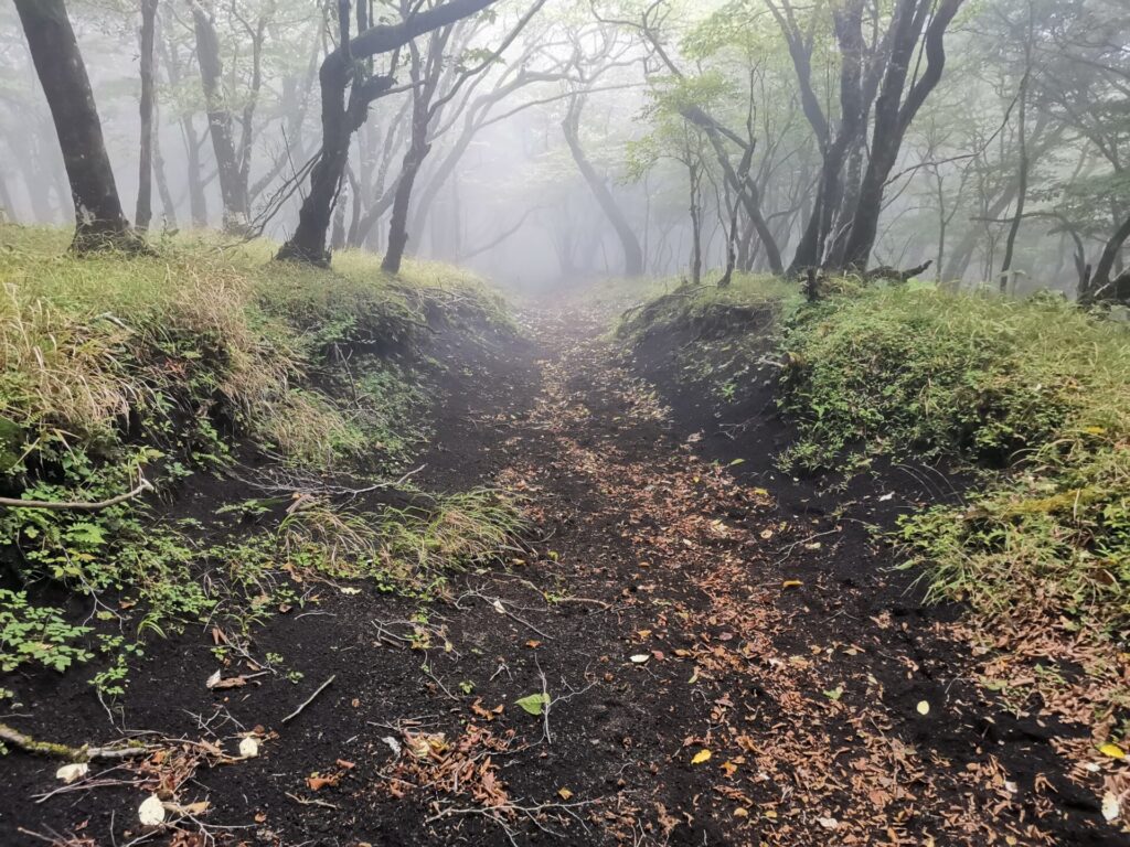 登山道