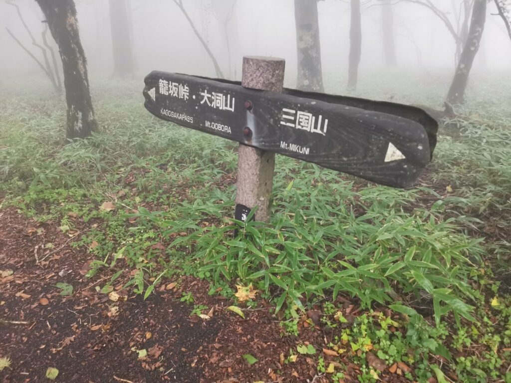 篭坂峠 道標