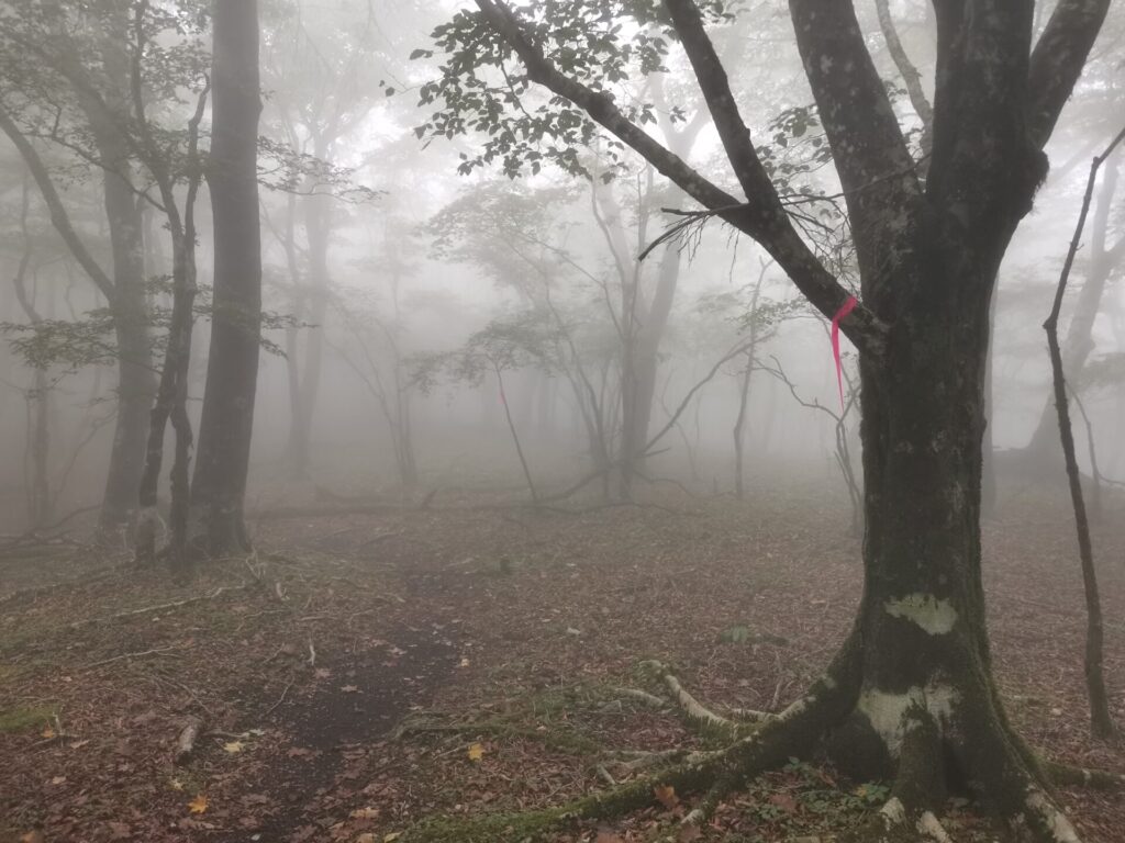 登山道