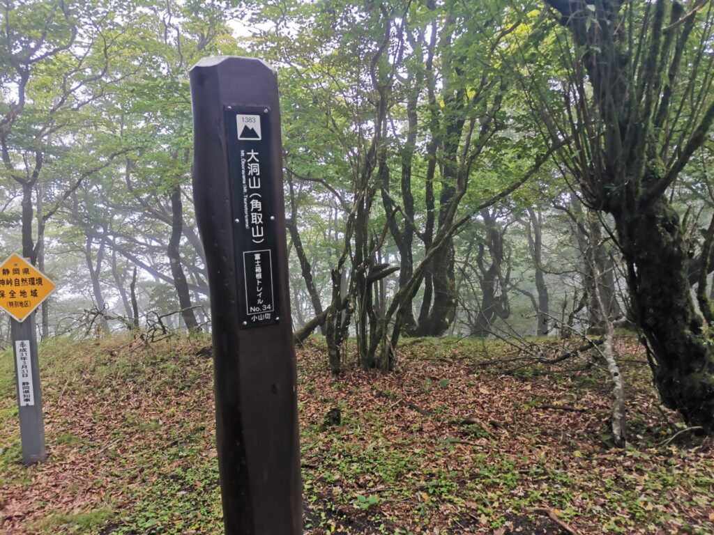大洞山 角取山 標柱
