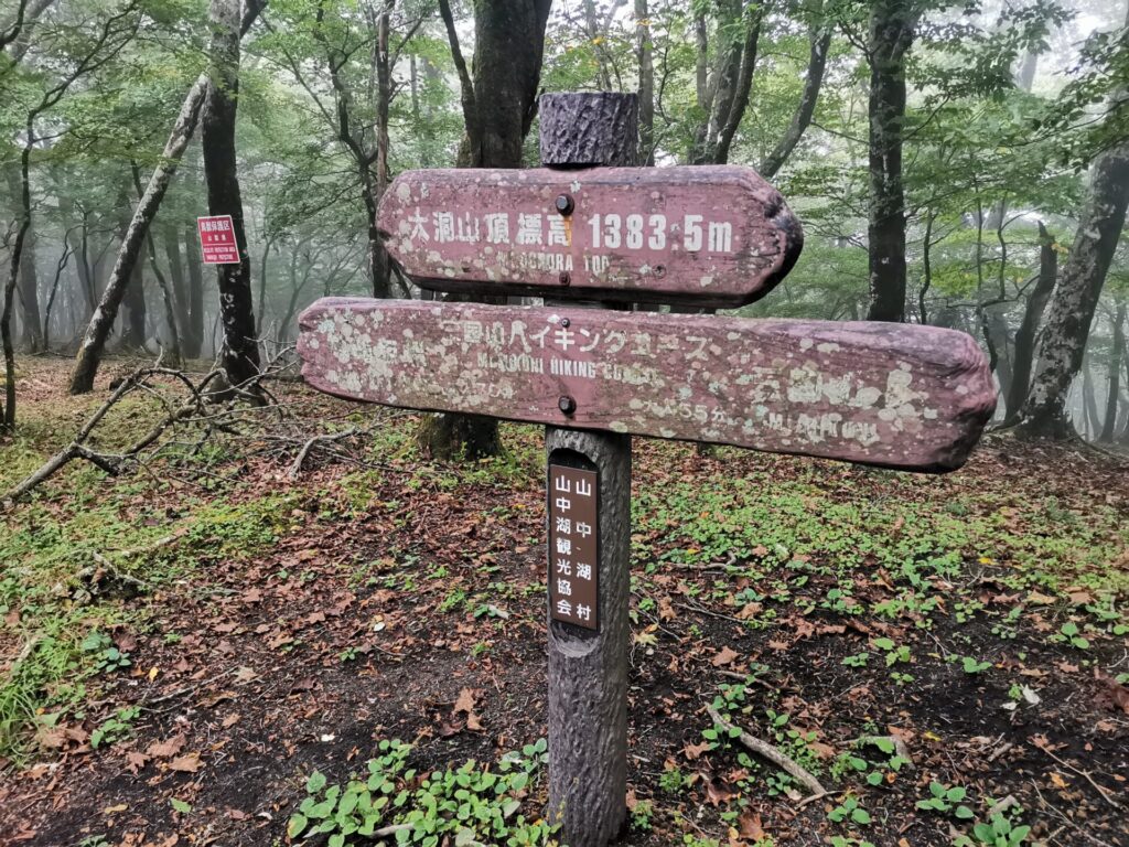 大洞山 標柱