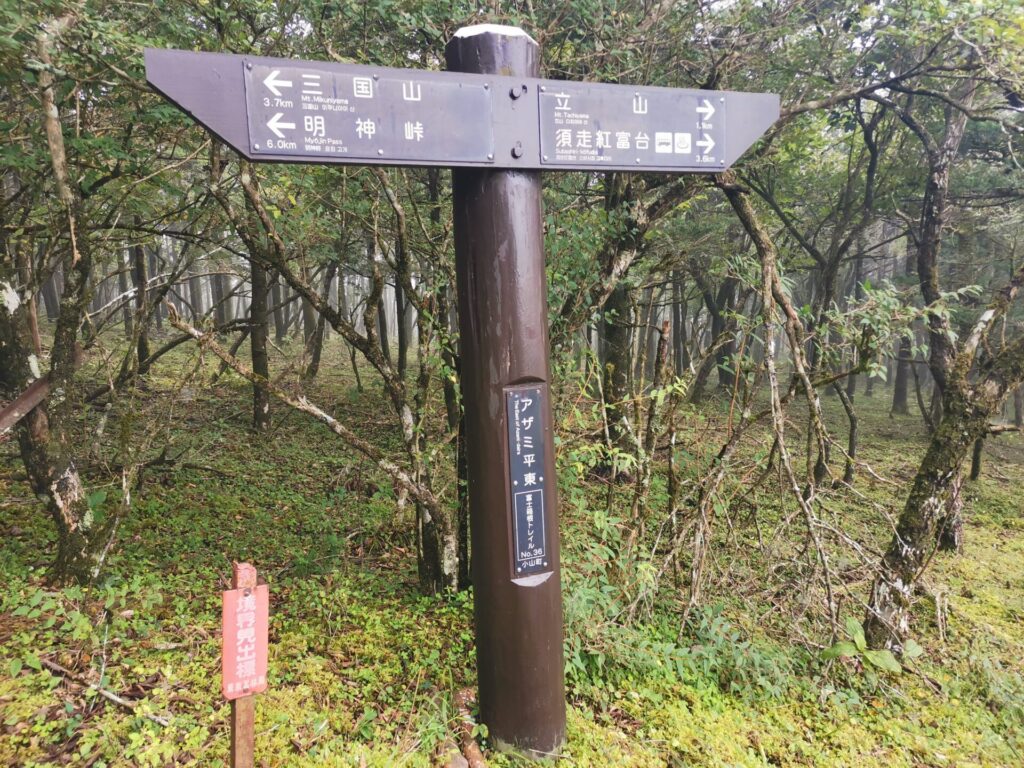 アザミ平東