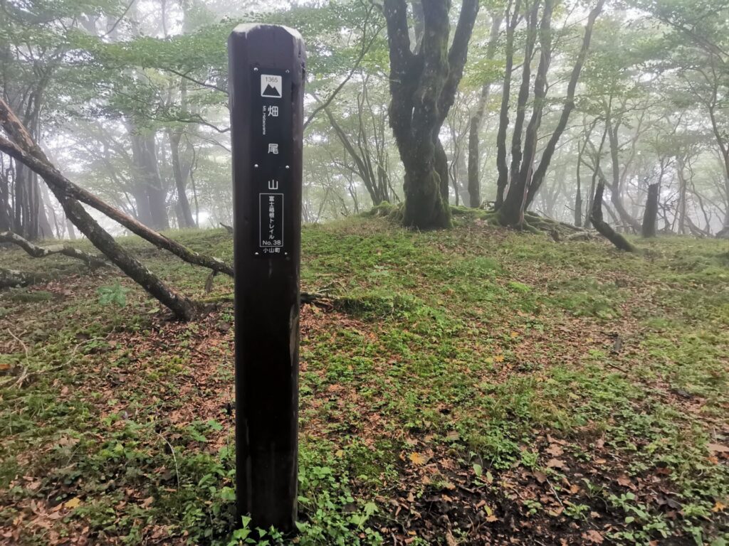 畑尾山 標柱