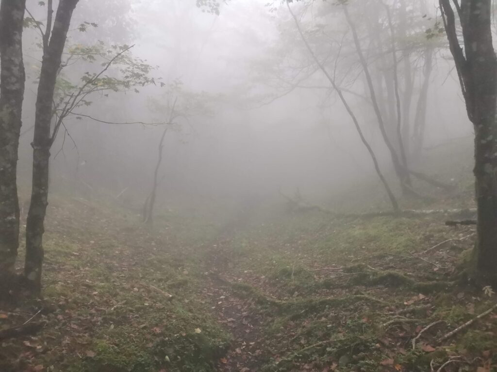 登山道