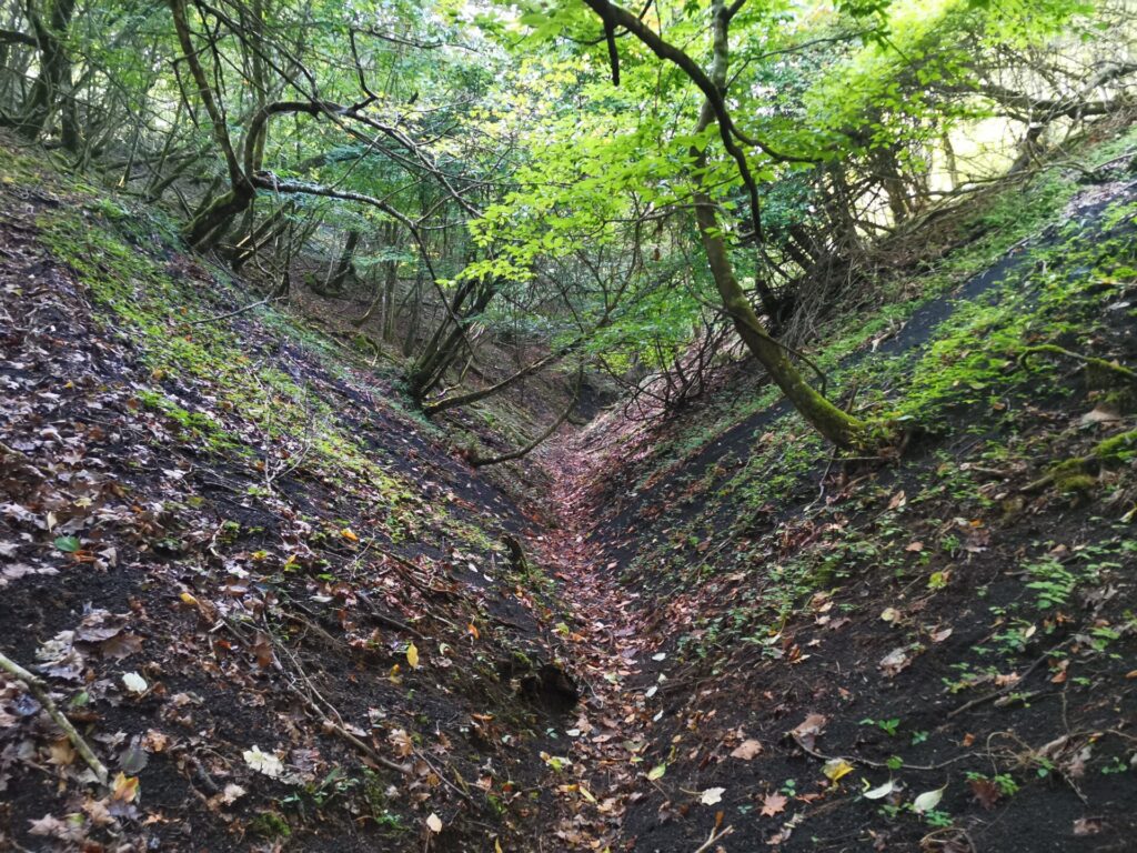 登山道