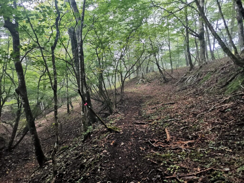 登山道