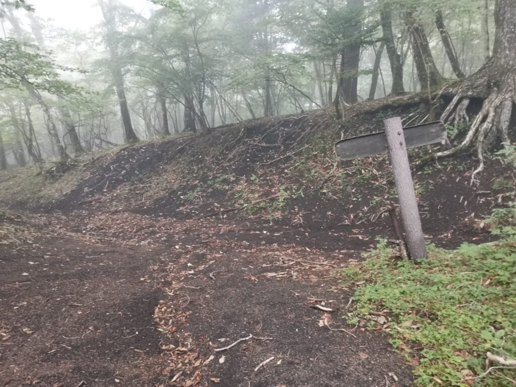 登山道 合流