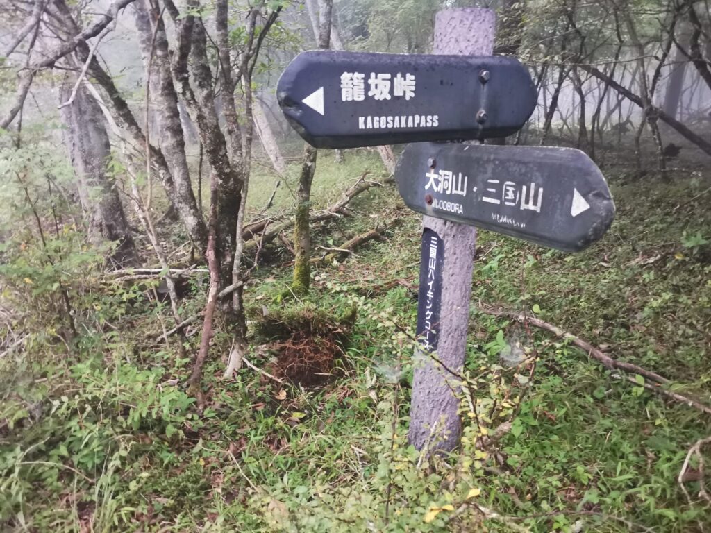 篭坂峠 道標