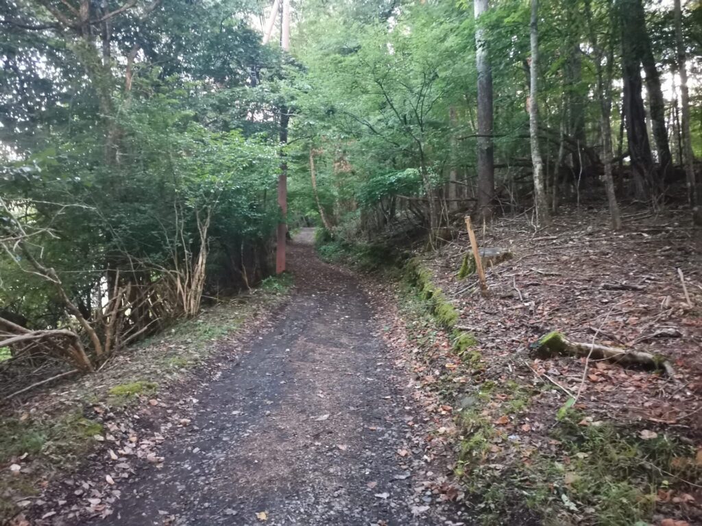 登山道