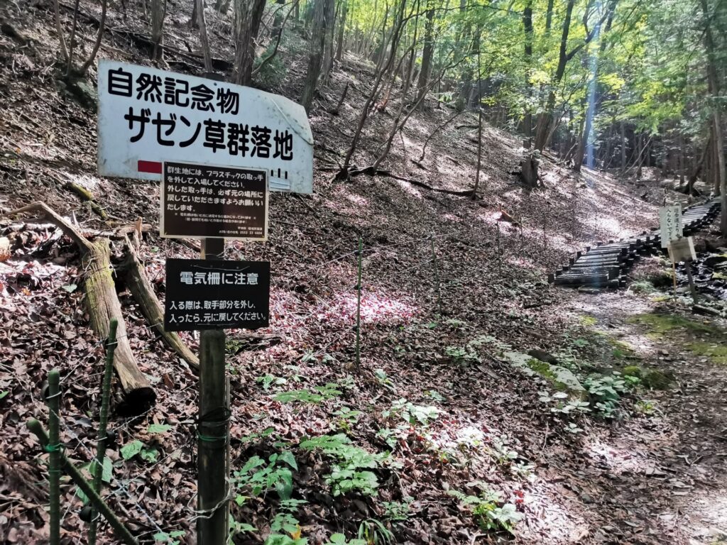 木道
